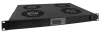 25033_80906