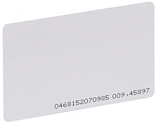 20706_81041