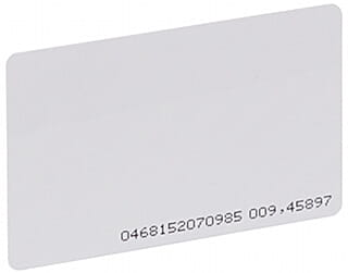 20706_81041