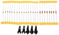 24813_81790