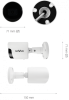 30129_100718
