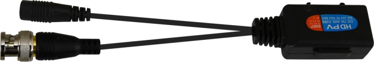 30150_100904