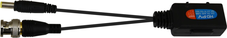 30150_100905