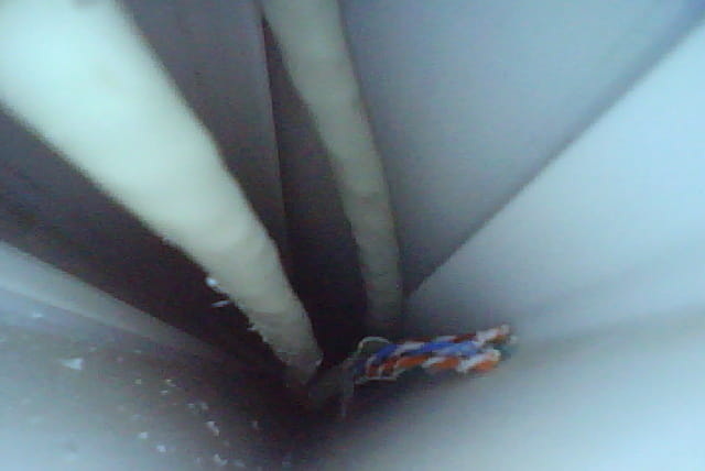 2169_102850