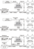 30942_103700