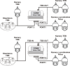30945_103710