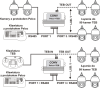 30947_103716
