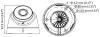 32088_107534