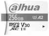 33078_117392