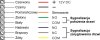 36355_118334
